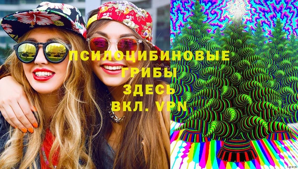 винт Алзамай