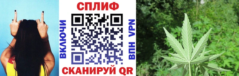 Конопля конопля продажа наркотиков гидра как войти Ардон